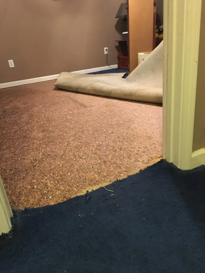 Carpet pad removal revealing water damage during Drying & Dehumidification in Laurel Hill