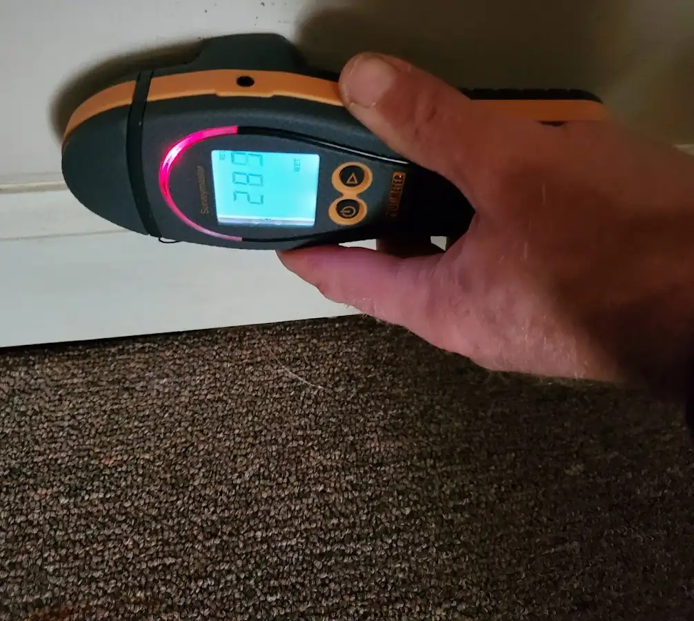 Moisture detection at baseboard during Sewage Cleanup & Sanitation in Laurel Hill