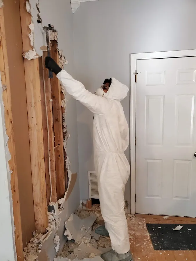 Water Damage Assessment in Laurel Hill, VA